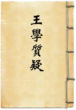 王学质疑